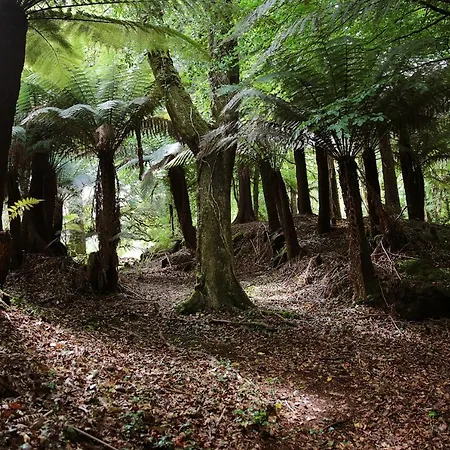 Radharc Na Cealla By Trident Homes Semesterbostad