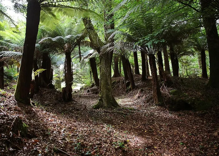 Radharc Na Cealla By Trident Homes Feriehus